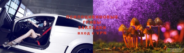 спиды Абдулино