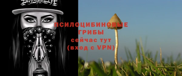 спиды Абдулино