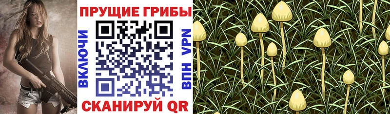 Псилоцибиновые грибы мухоморы Анадырь